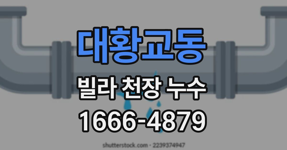 대황교동 빌라 천장 누수