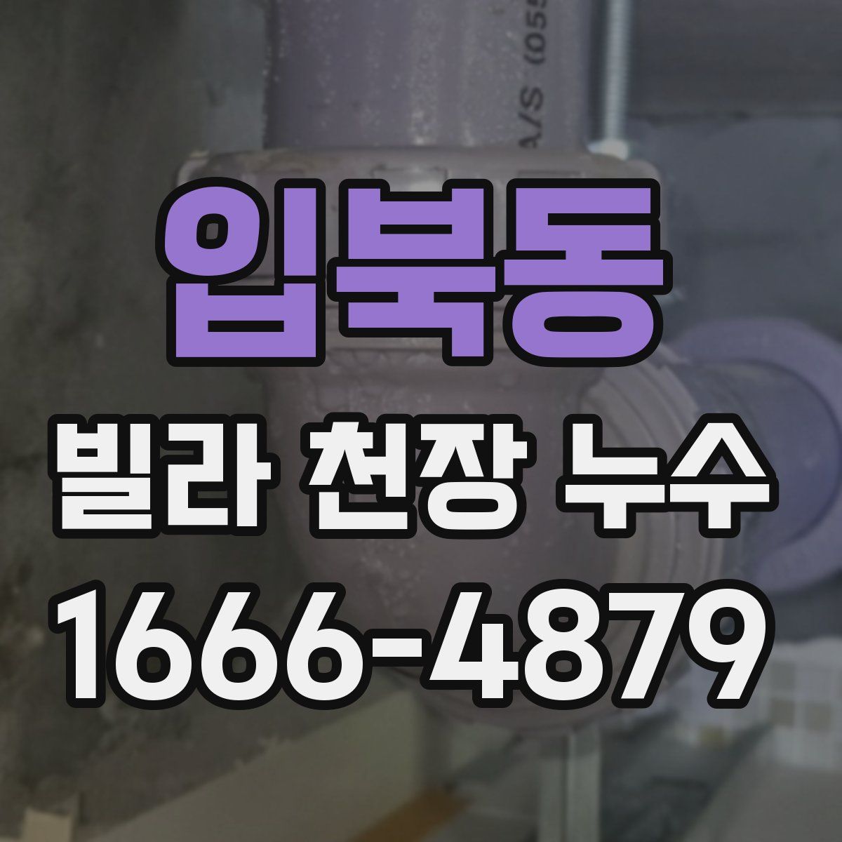 입북동 빌라 천장 누수