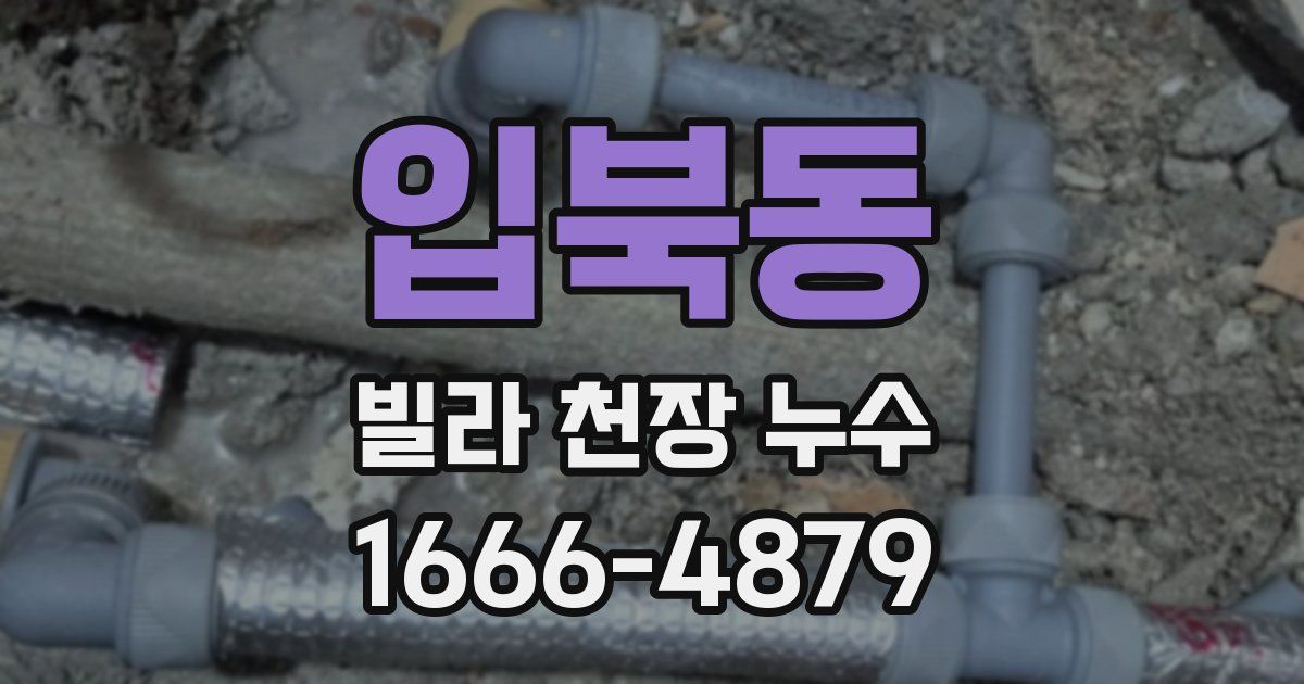 입북동 빌라 천장 누수
