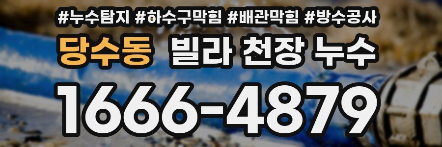 당수동 빌라 천장 누수