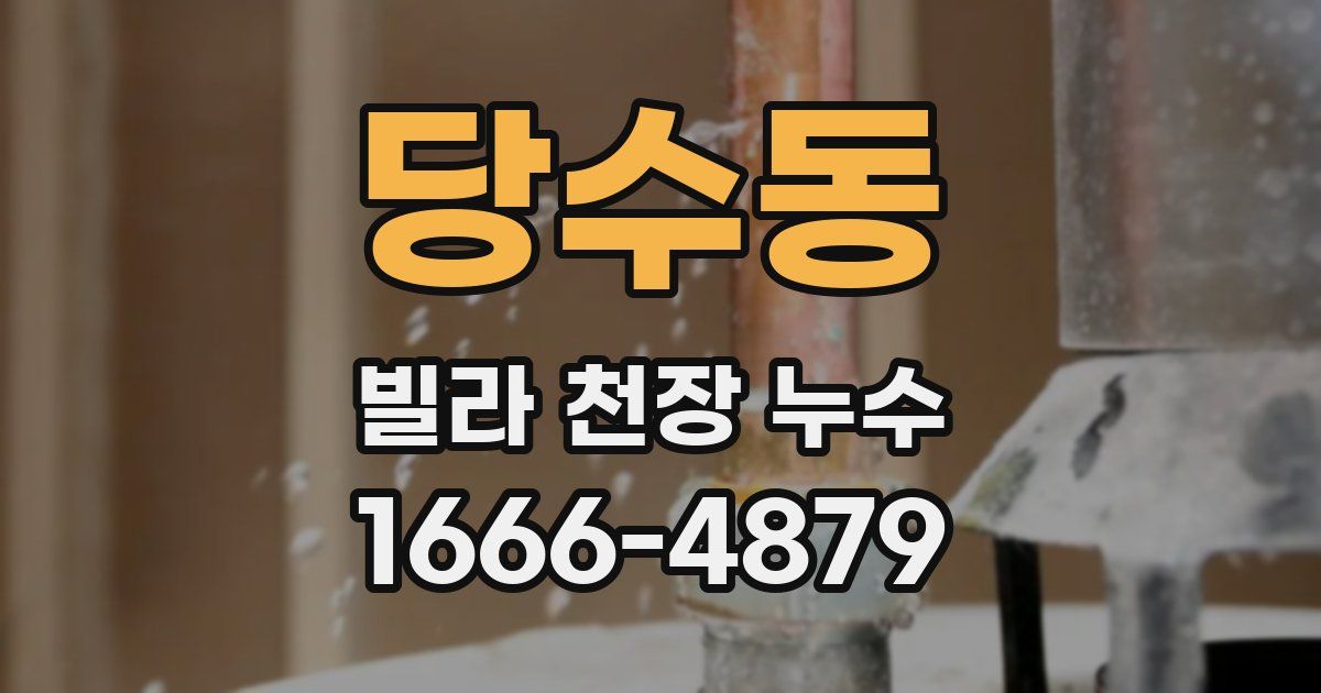 당수동 빌라 천장 누수