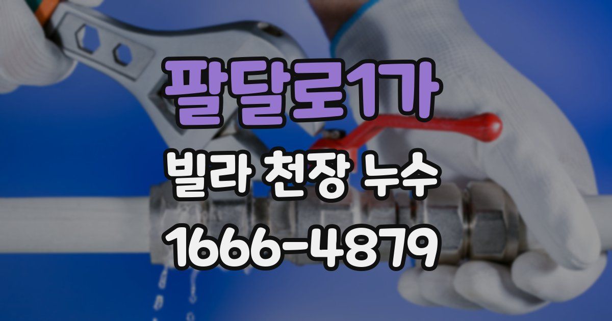 팔달로1가 빌라 천장 누수