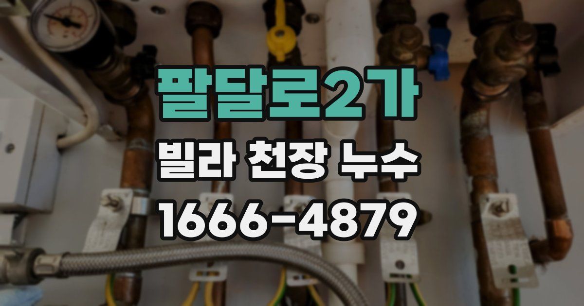 팔달로2가 빌라 천장 누수