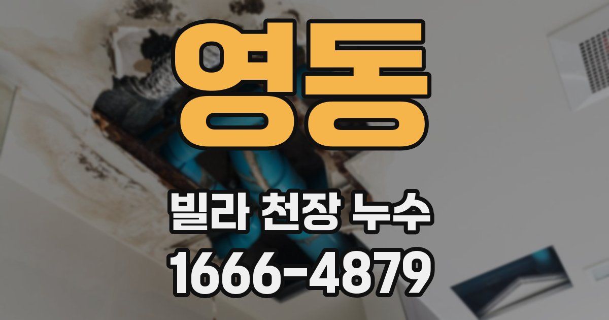 영동 빌라 천장 누수