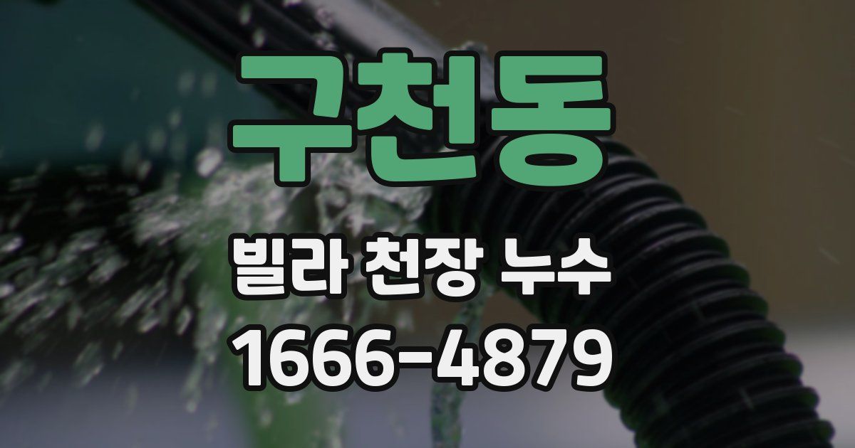 구천동 빌라 천장 누수
