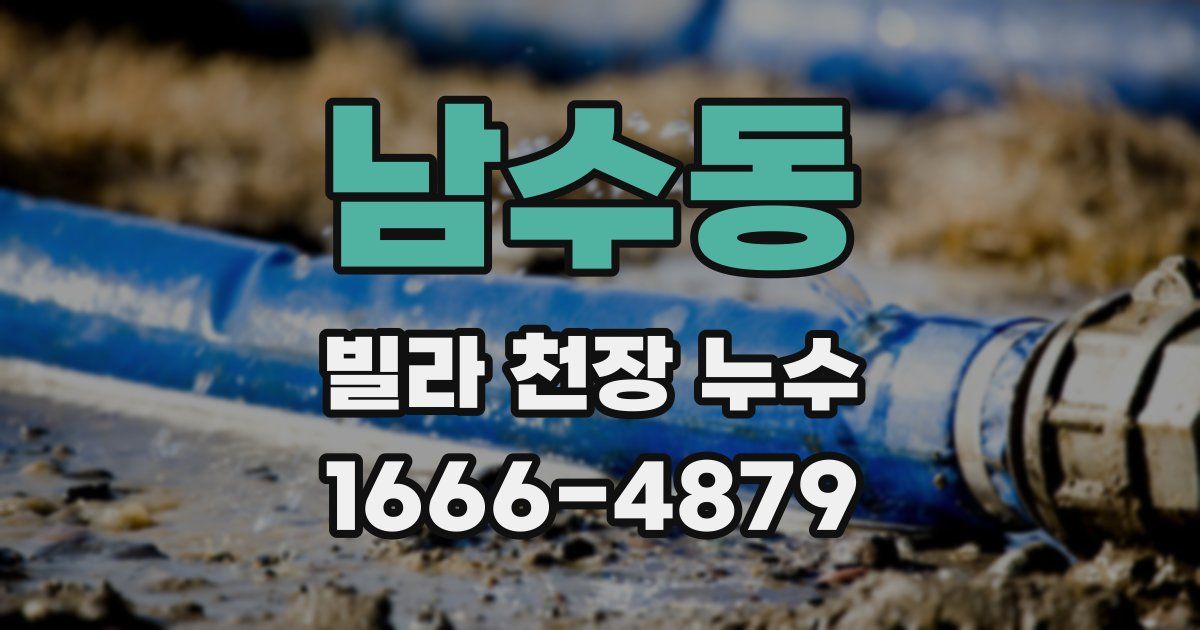 남수동 빌라 천장 누수
