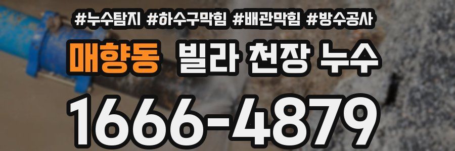 매향동 빌라 천장 누수