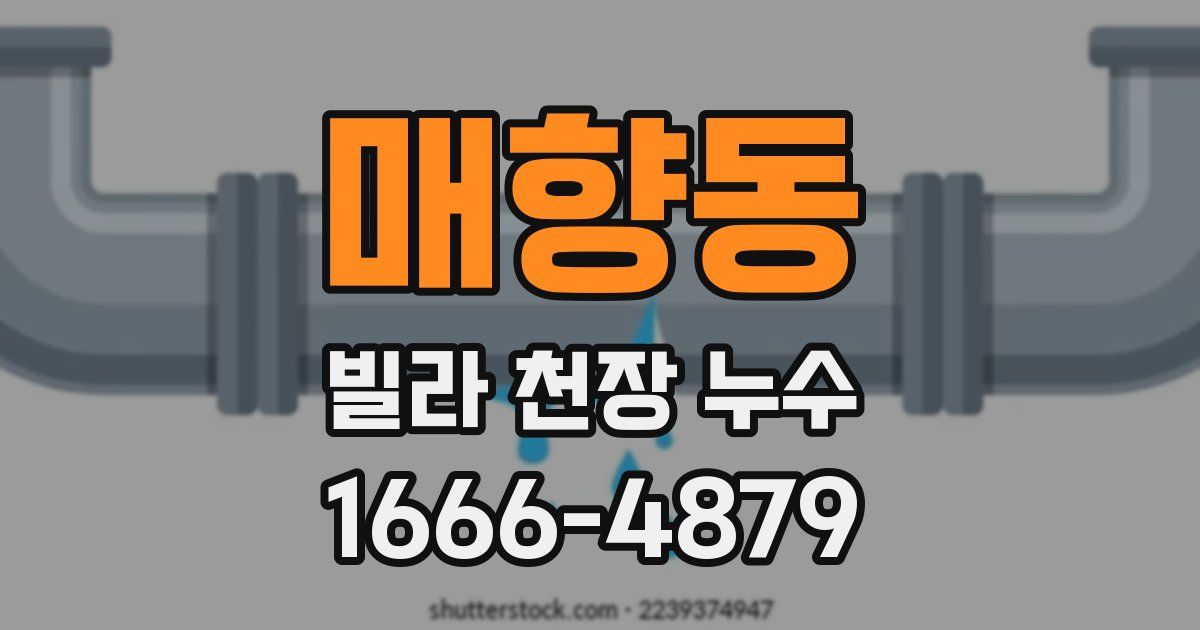 매향동 빌라 천장 누수