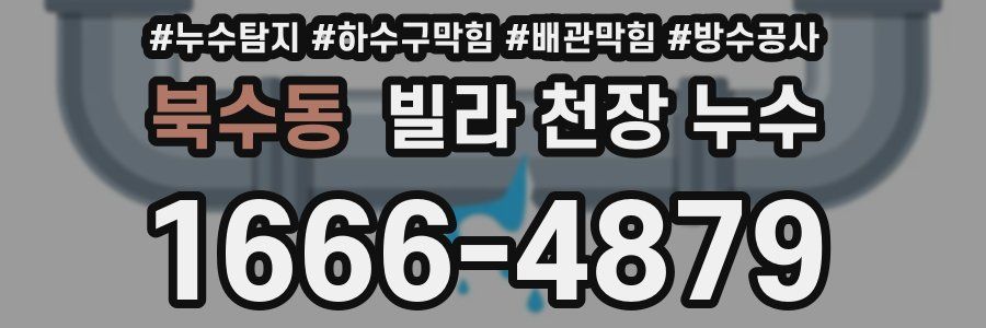 북수동 빌라 천장 누수