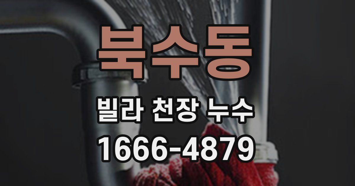 북수동 빌라 천장 누수