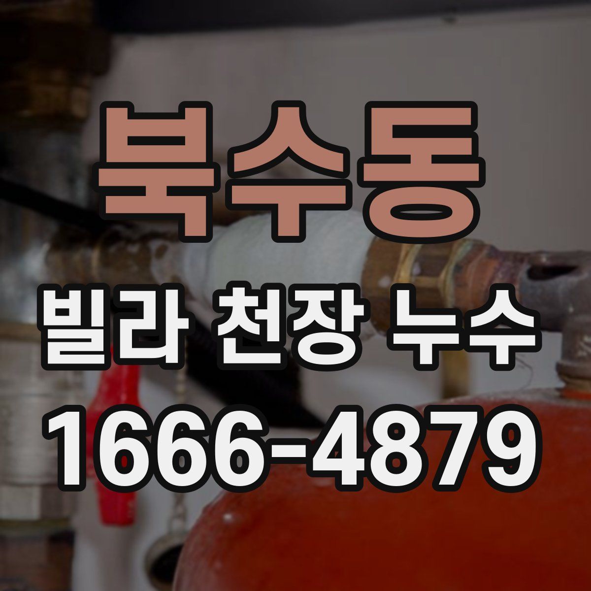 북수동 빌라 천장 누수