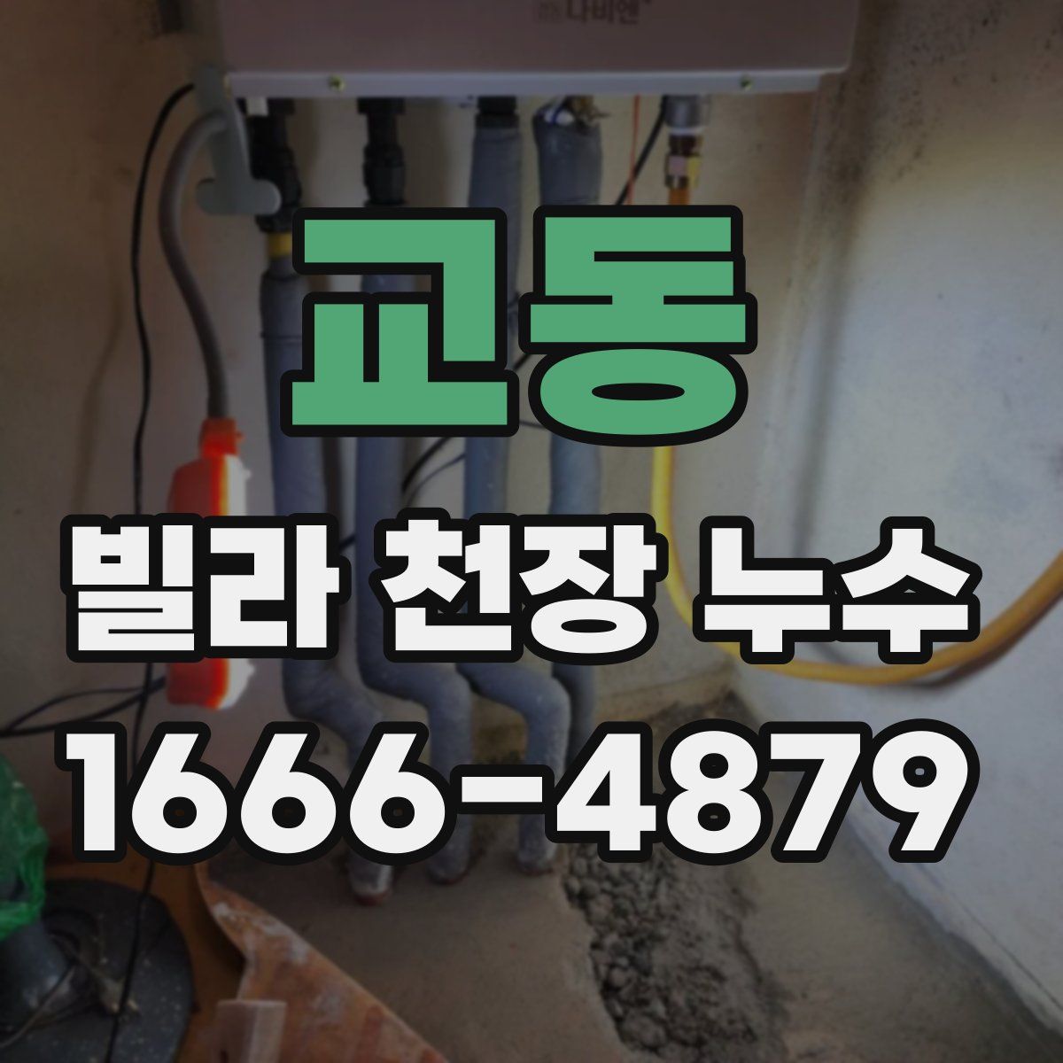 교동 빌라 천장 누수