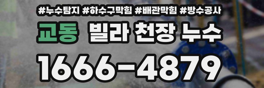 교동 빌라 천장 누수