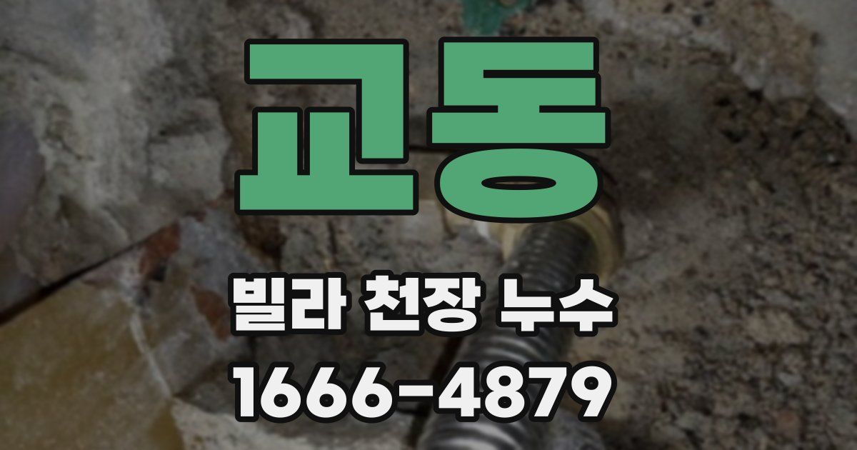 교동 빌라 천장 누수