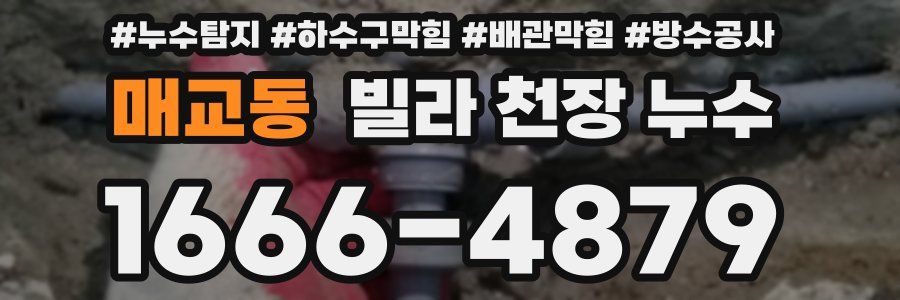 매교동 빌라 천장 누수