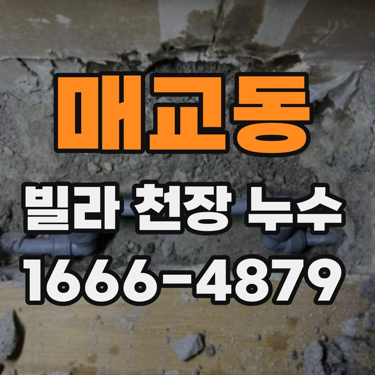 매교동 빌라 천장 누수