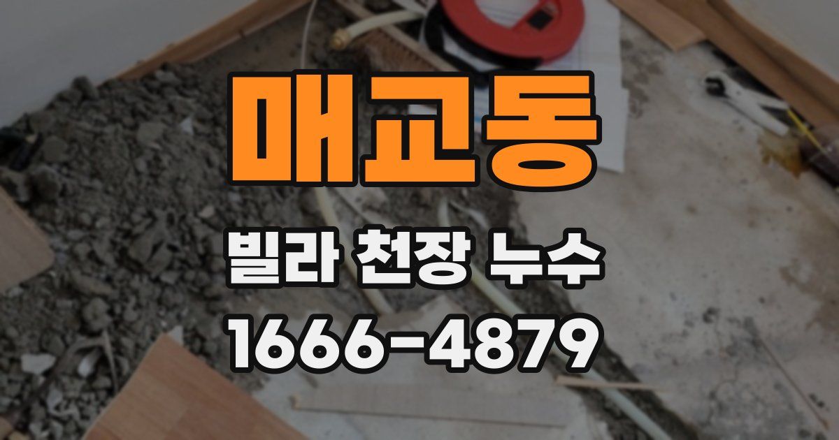 매교동 빌라 천장 누수