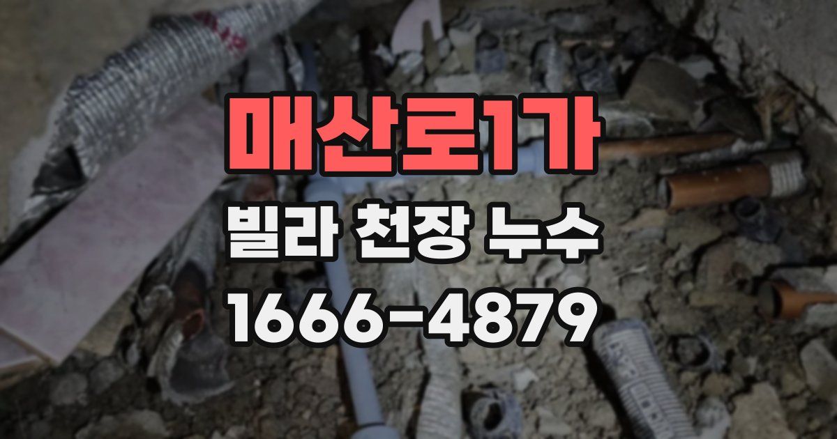 매산로1가 빌라 천장 누수