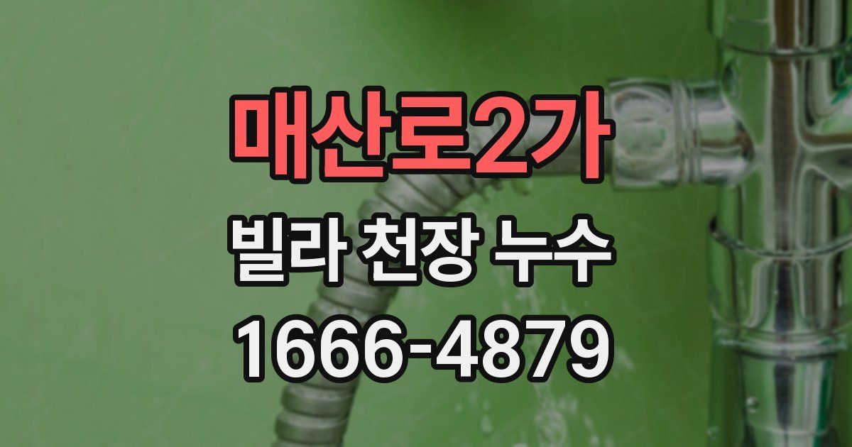 매산로2가 빌라 천장 누수