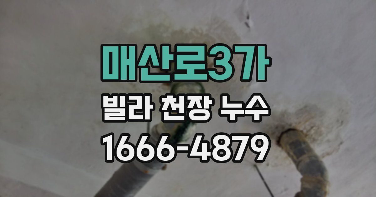 매산로3가 빌라 천장 누수
