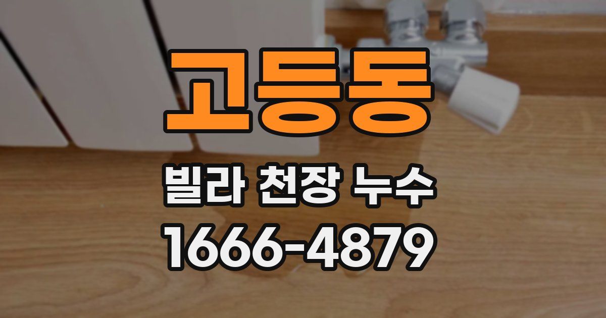 고등동 빌라 천장 누수