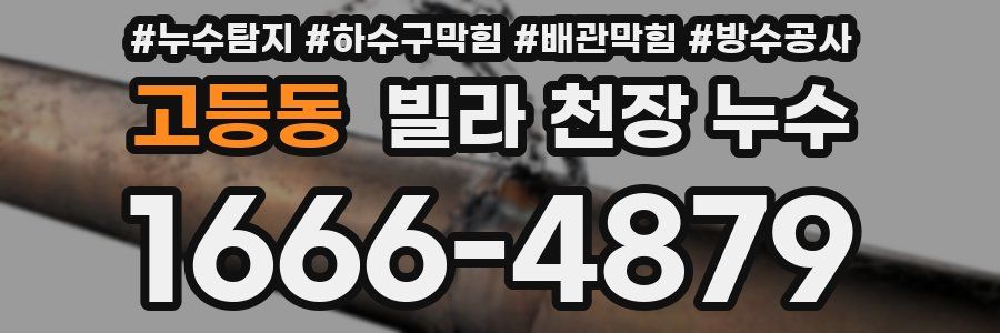 고등동 빌라 천장 누수