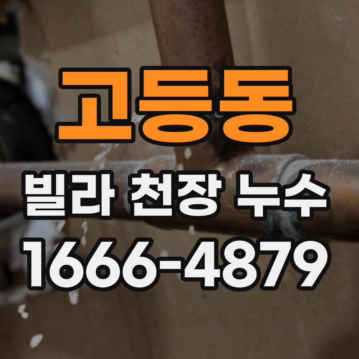 고등동 빌라 천장 누수