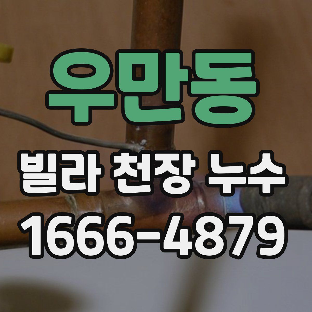 우만동 빌라 천장 누수