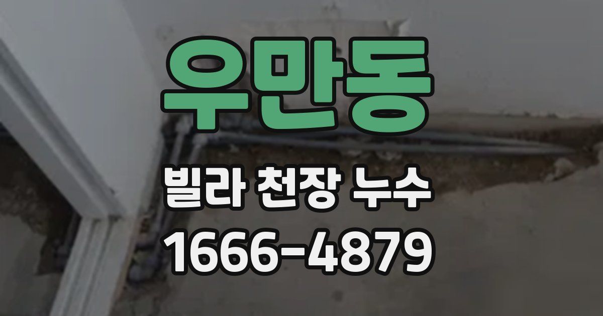 우만동 빌라 천장 누수