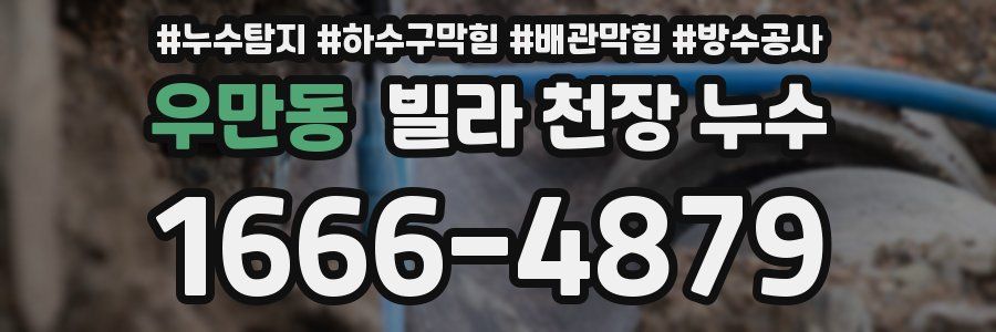 우만동 빌라 천장 누수