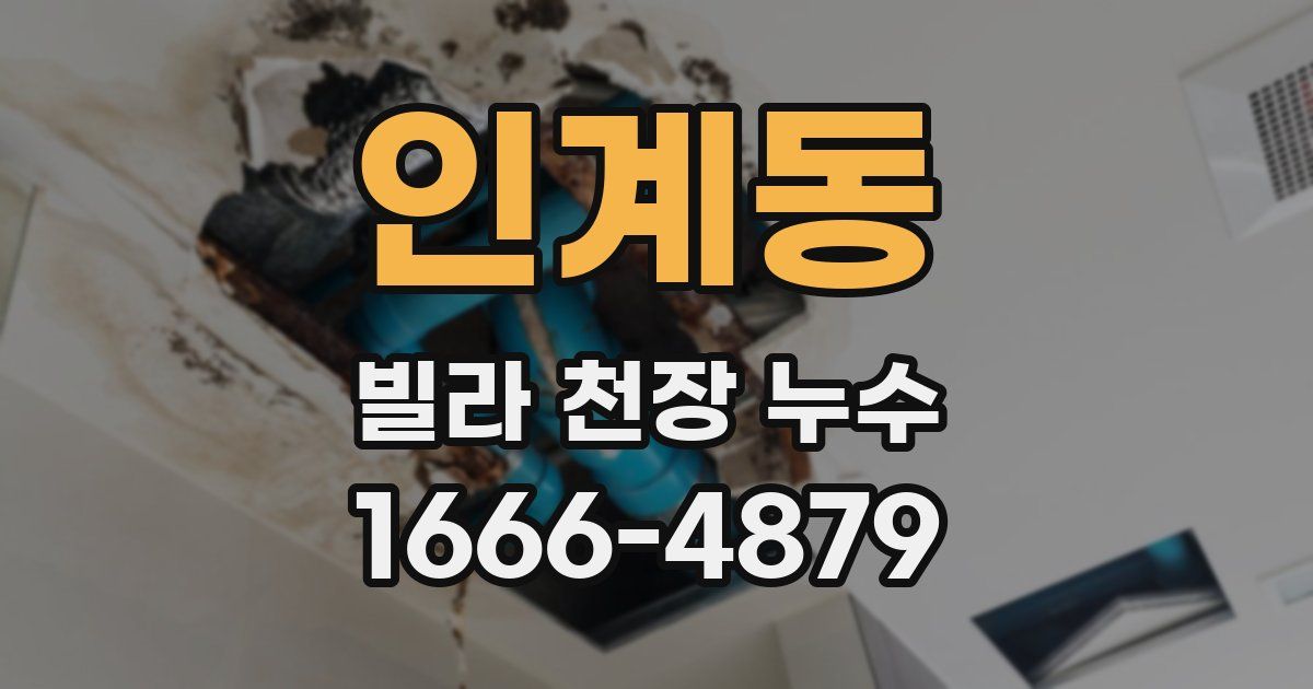 인계동 빌라 천장 누수