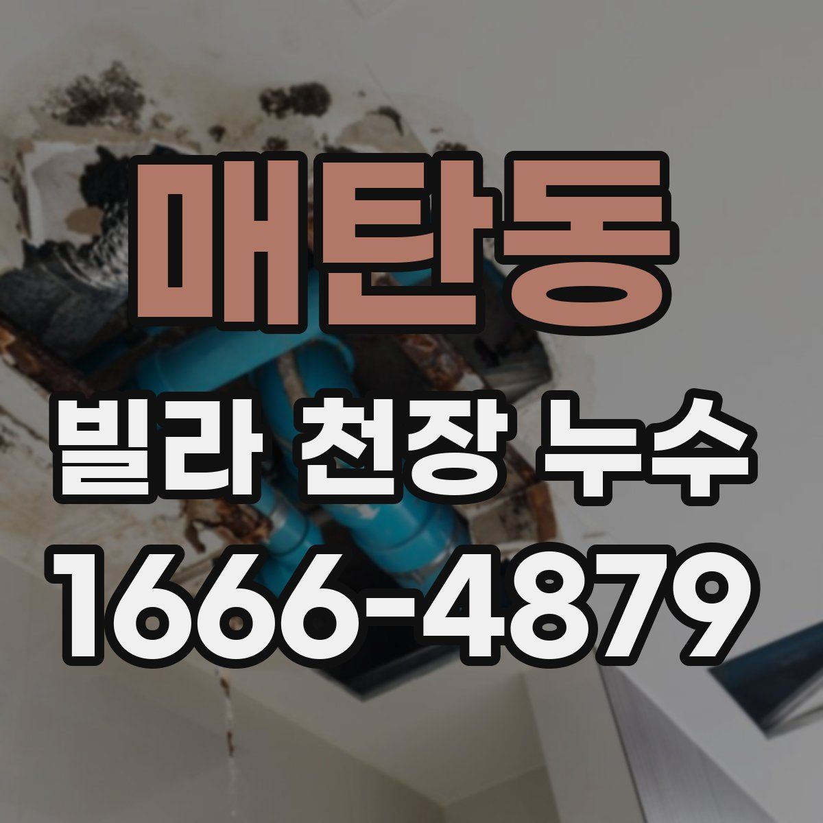매탄동 빌라 천장 누수