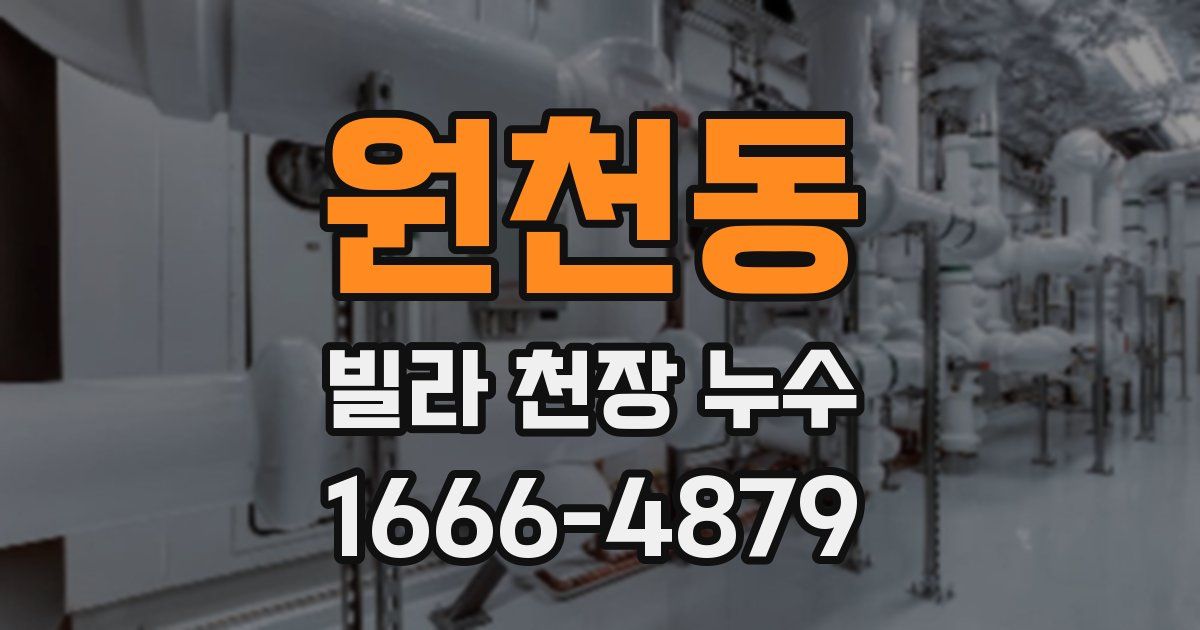 원천동 빌라 천장 누수
