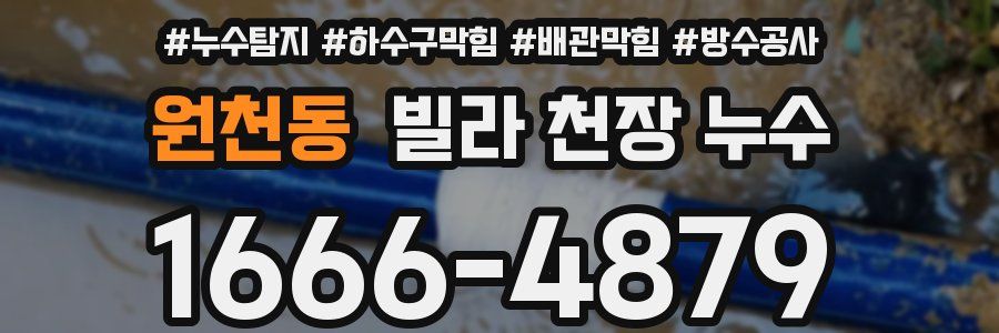 원천동 빌라 천장 누수