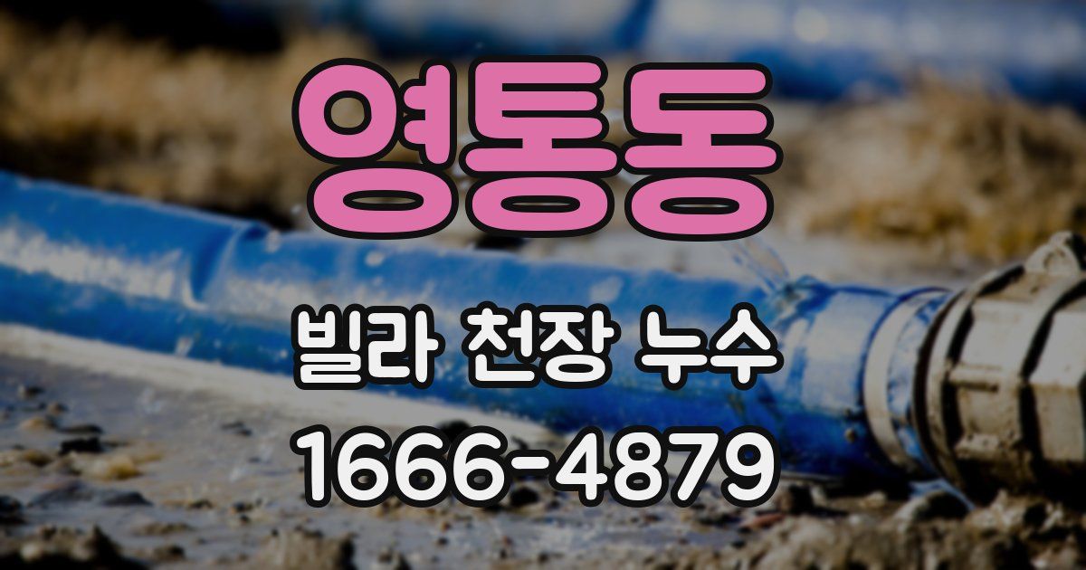 영통동 빌라 천장 누수