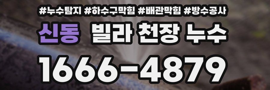 신동 빌라 천장 누수