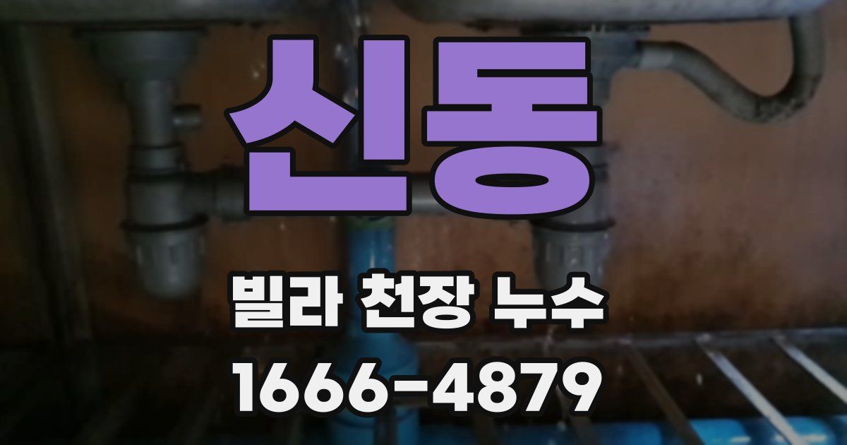 신동 빌라 천장 누수