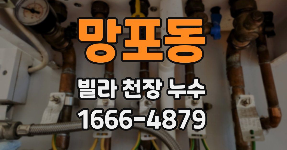 망포동 빌라 천장 누수