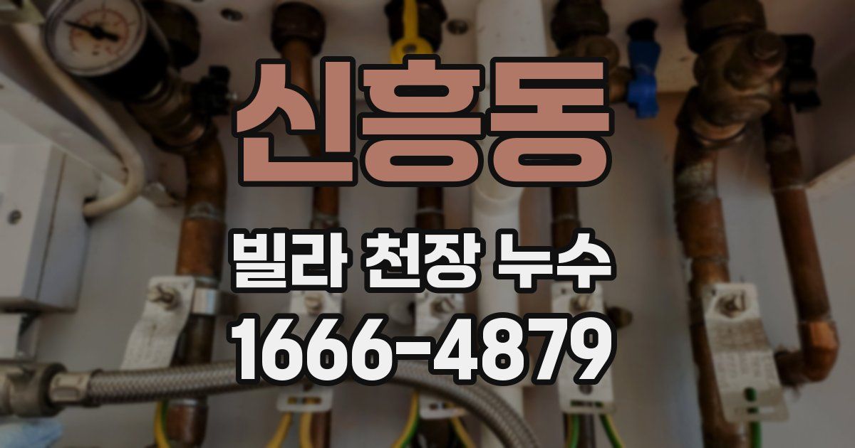 신흥동 빌라 천장 누수
