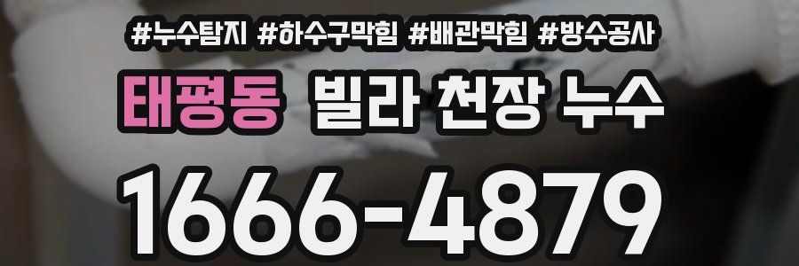 태평동 빌라 천장 누수
