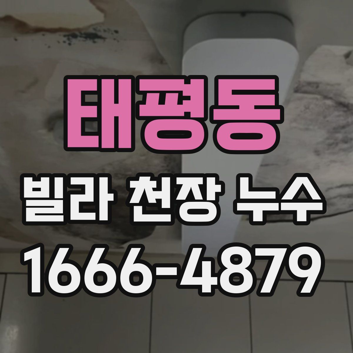 태평동 빌라 천장 누수
