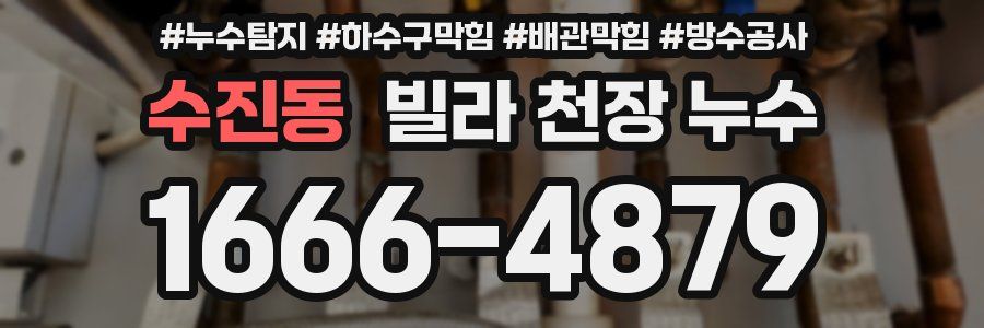 수진동 빌라 천장 누수