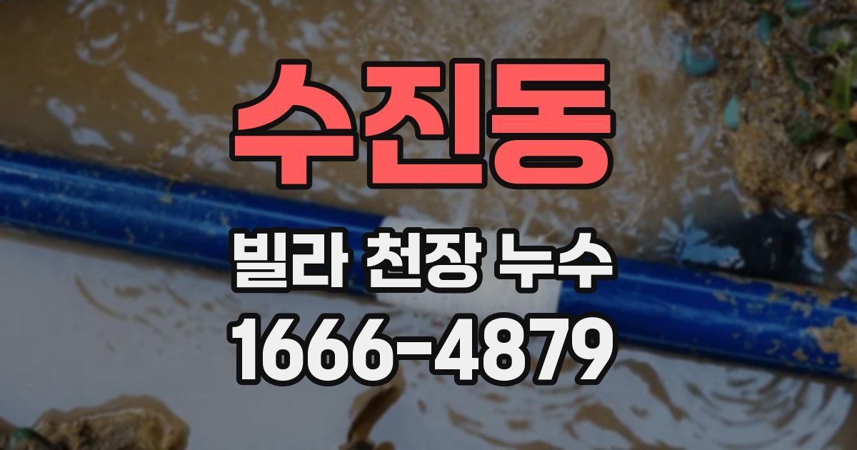 수진동 빌라 천장 누수