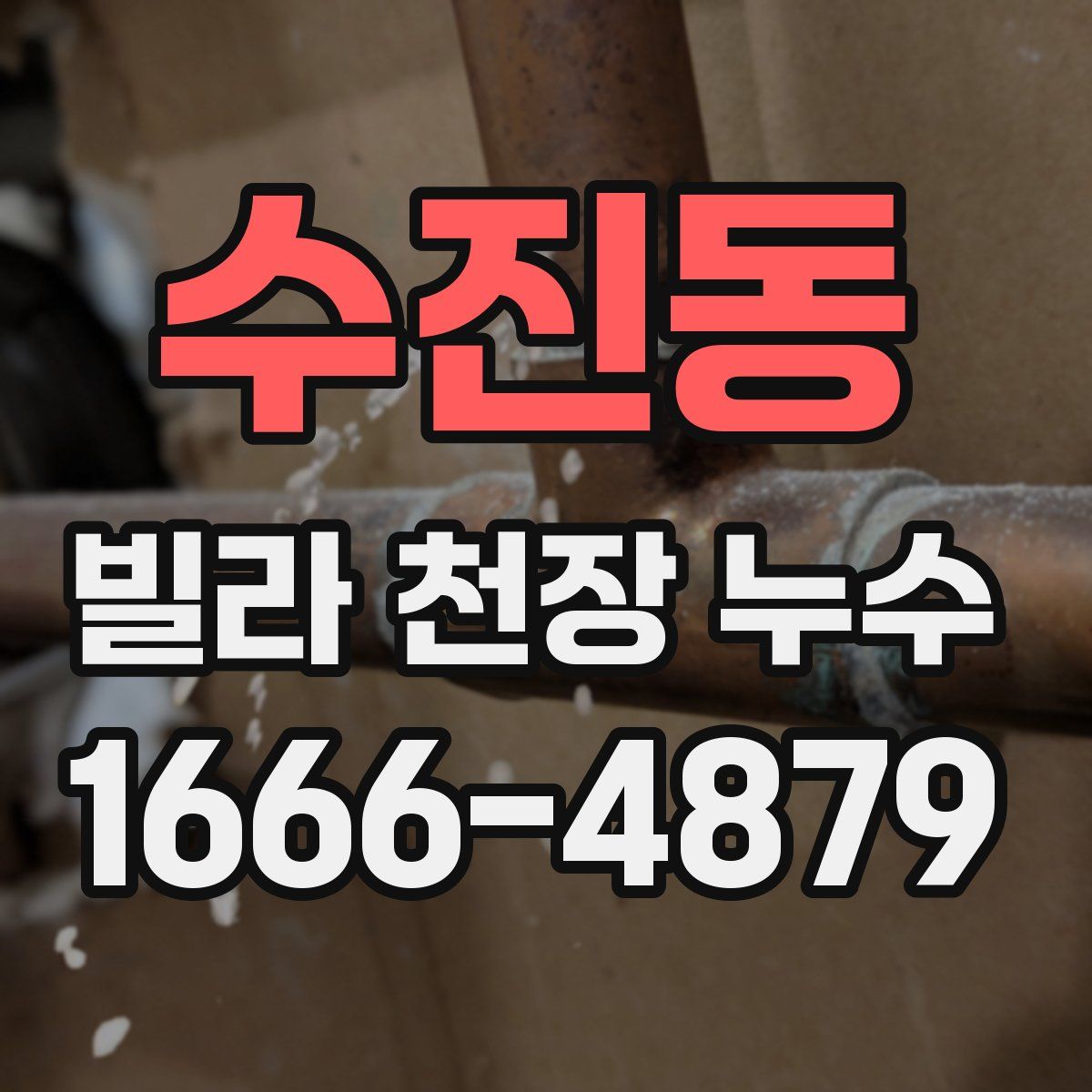 수진동 빌라 천장 누수