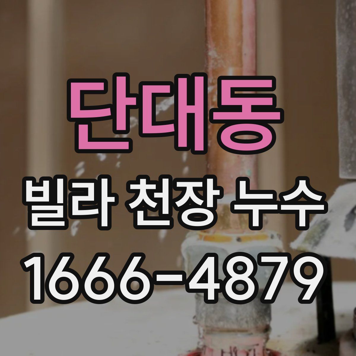 단대동 빌라 천장 누수