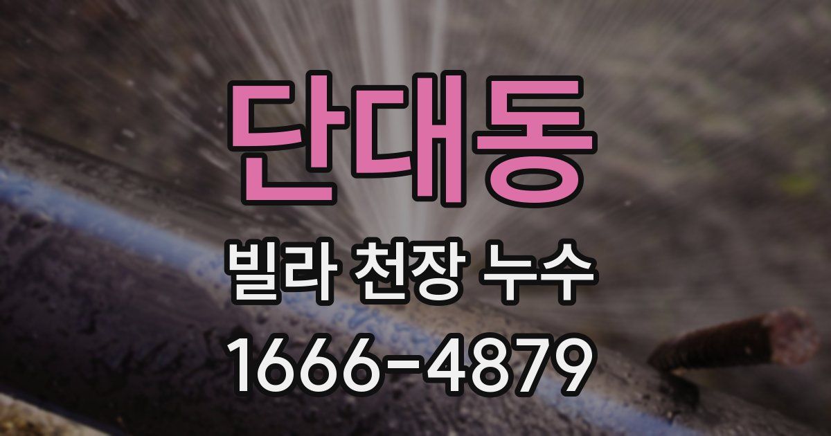 단대동 빌라 천장 누수