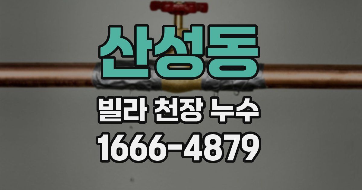 산성동 빌라 천장 누수