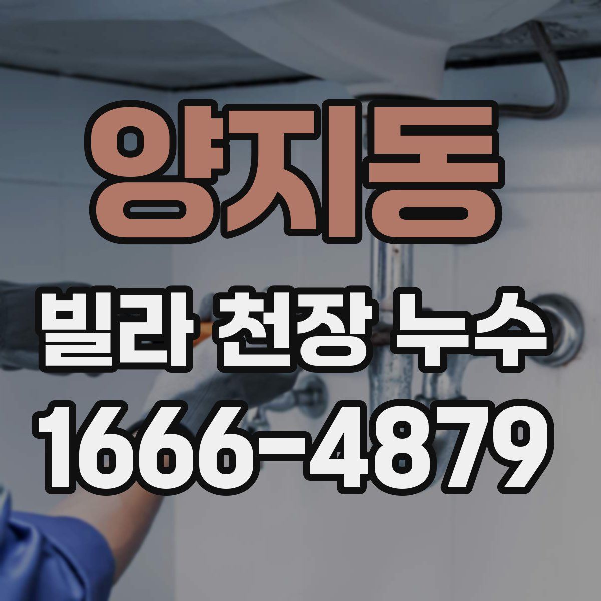 양지동 빌라 천장 누수