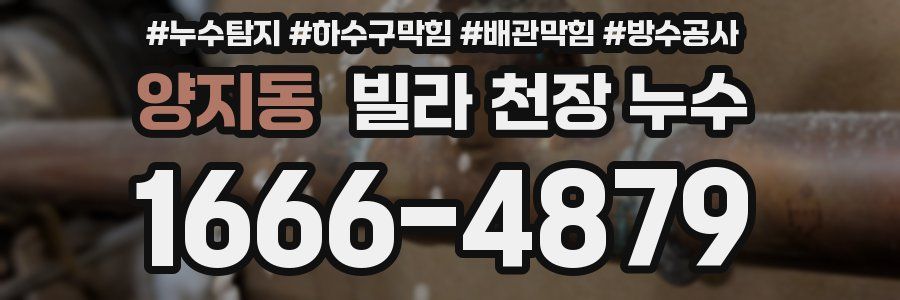 양지동 빌라 천장 누수
