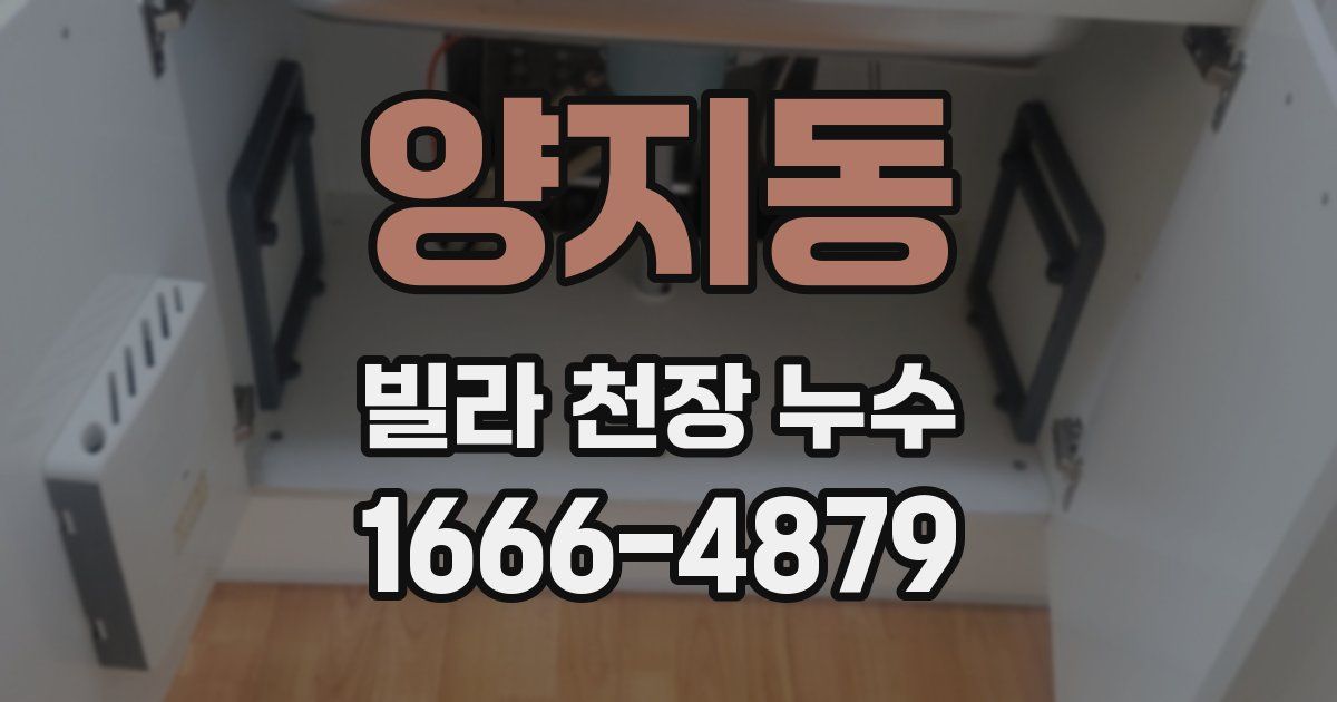 양지동 빌라 천장 누수